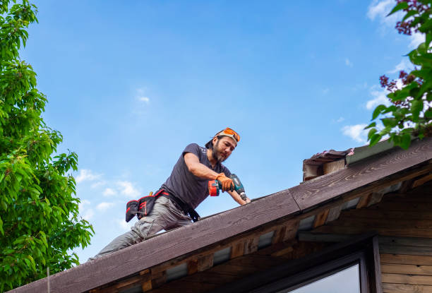 Best Asphalt Shingles Roofing  in Greenville, KY